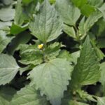 905ad243-2233-4d2c-ba5f-0e9d8f4625c6