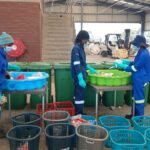 9e13453c-f8aa-44ba-b12c-4ff22f82fcbb