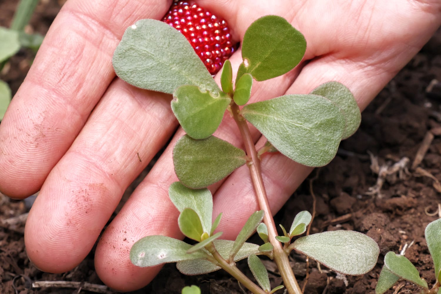 c19695e3-4c3c-483a-84c3-fb5ef949ac49